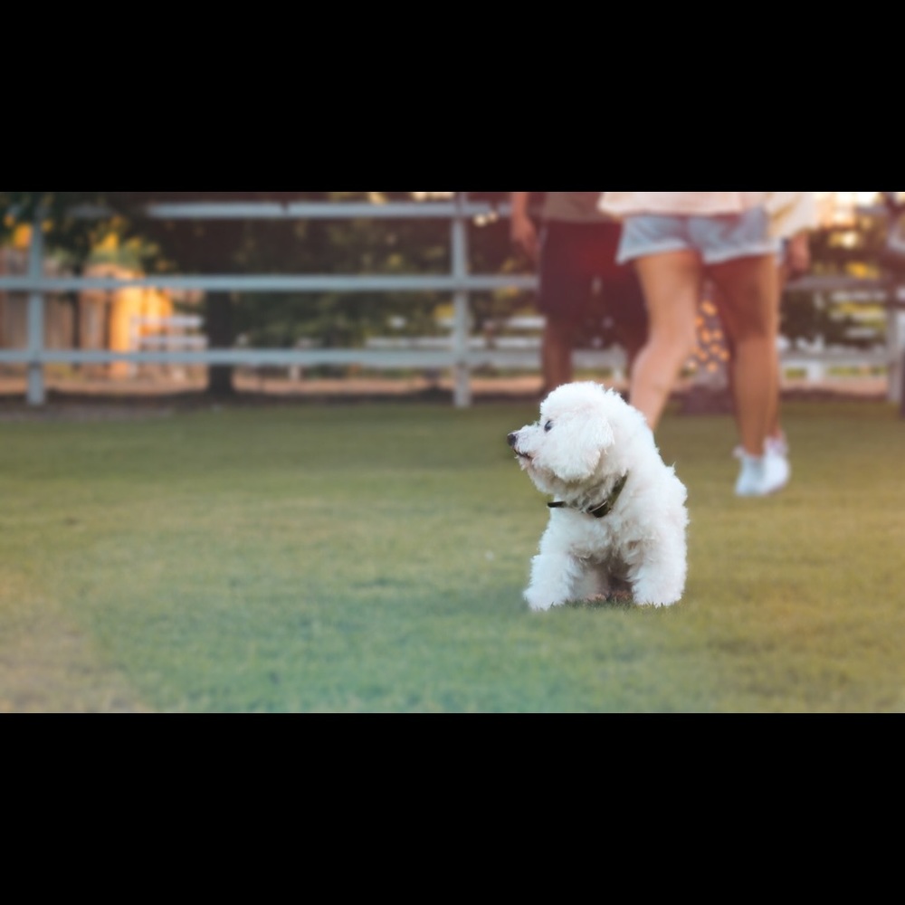 Meet your Posher, Emma